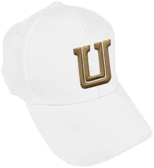 [TSG2454-CLS/BL] Gorra TIGRES "U" 